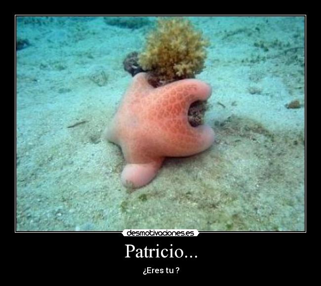 Patricio... - ¿Eres tu ?