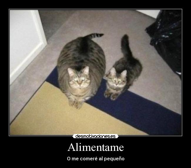 Alimentame - 