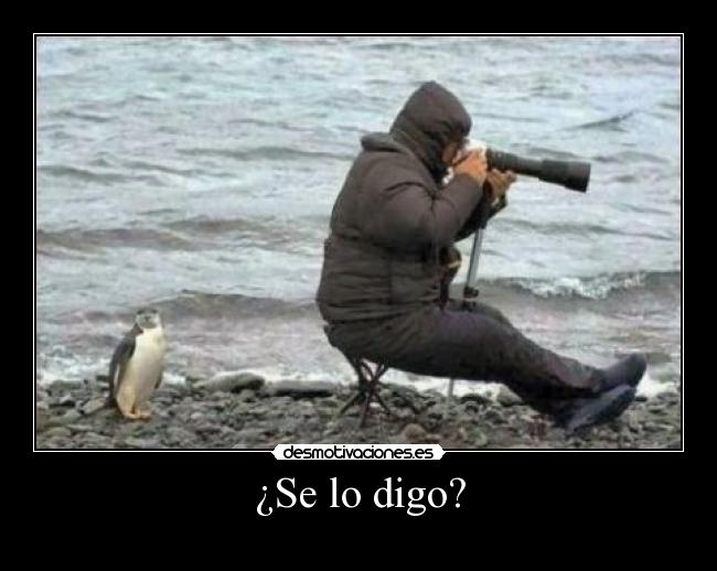 ¿Se lo digo? - 