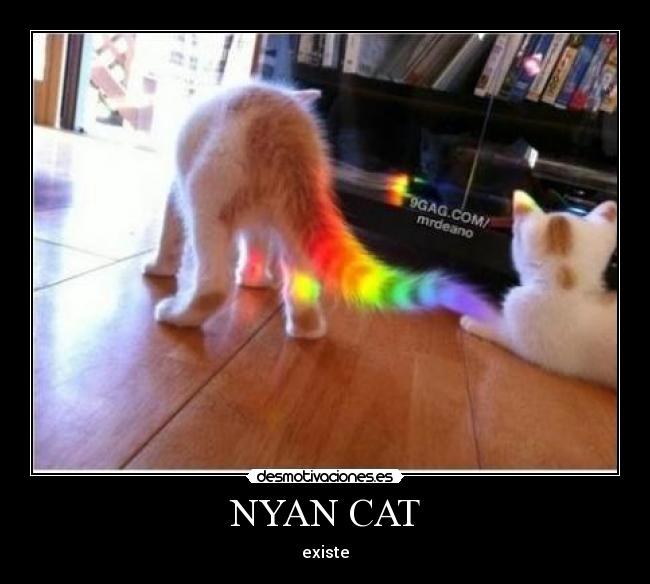 NYAN CAT - existe