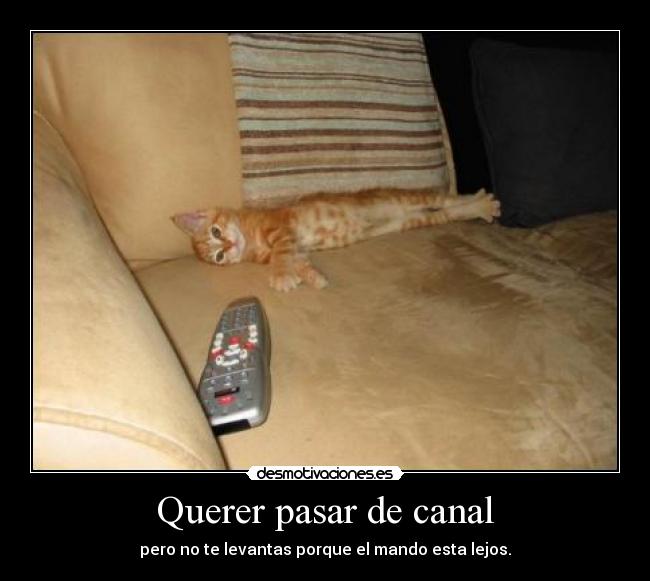 Querer pasar de canal - 