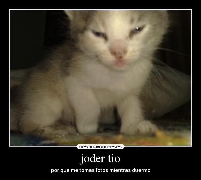 carteles dvdv desmotivaciones