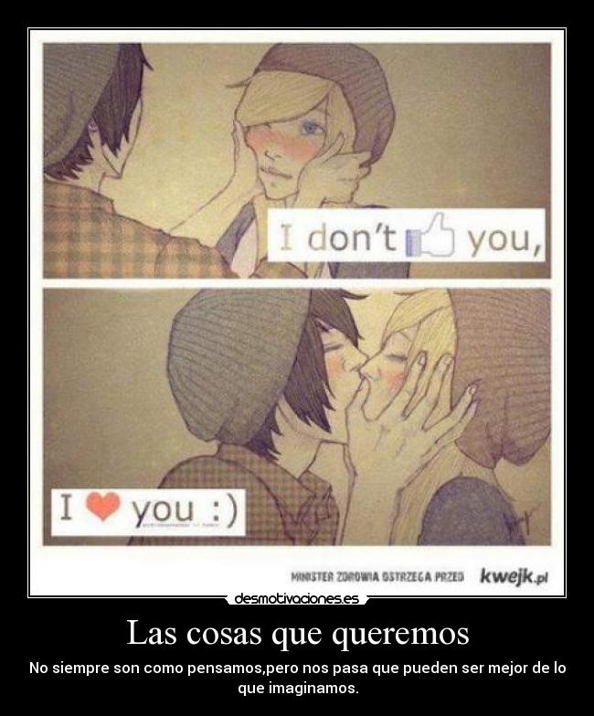 Las cosas que queremos -