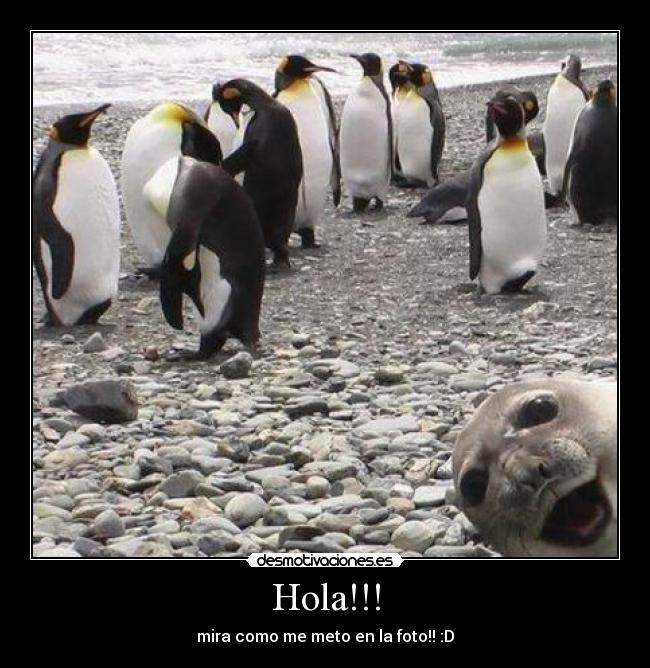 Hola!!! - mira como me meto en la foto!! :D