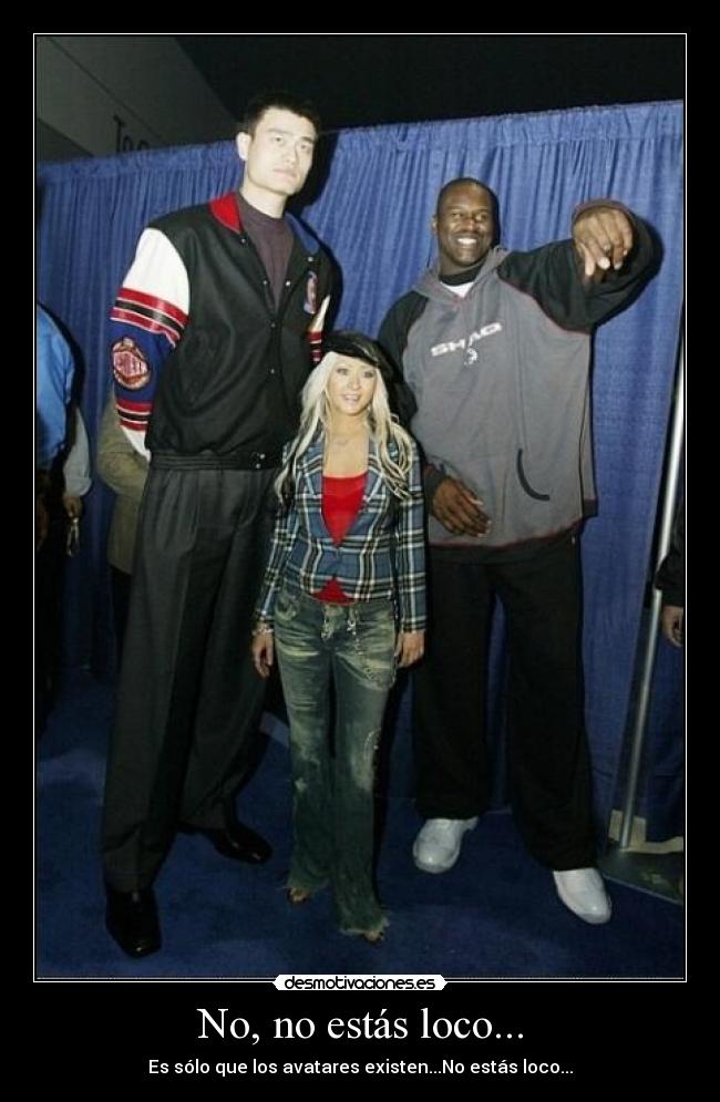 No, no estás loco... - Es sólo que los avatares existen...No estás loco...