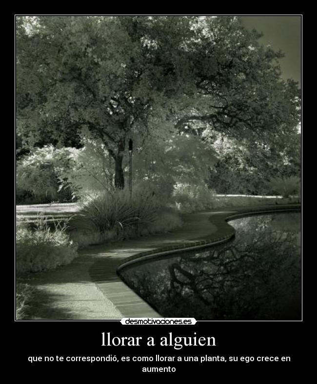 carteles llorar kinderjesse desmotivaciones