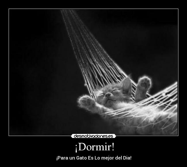 ¡Dormir! -