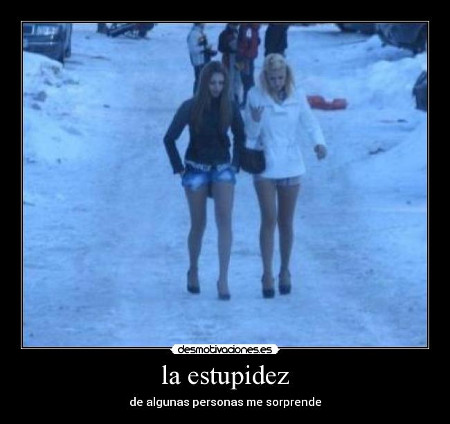 la estupidez - de algunas personas me sorprende