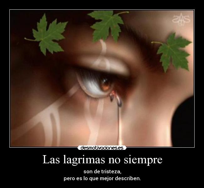 carteles lagrimas tristesa alegria intruders maxima paranoia desmotivaciones