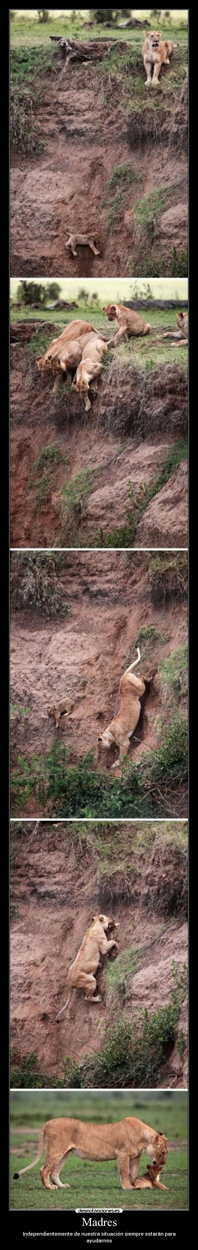 carteles aplauso desmotivaciones