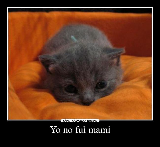 Yo no fuì mami -