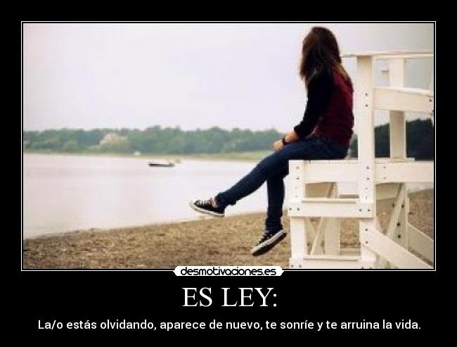 ES LEY: - La/o estás olvidando, aparece de nuevo, te sonríe y te arruina la vida.