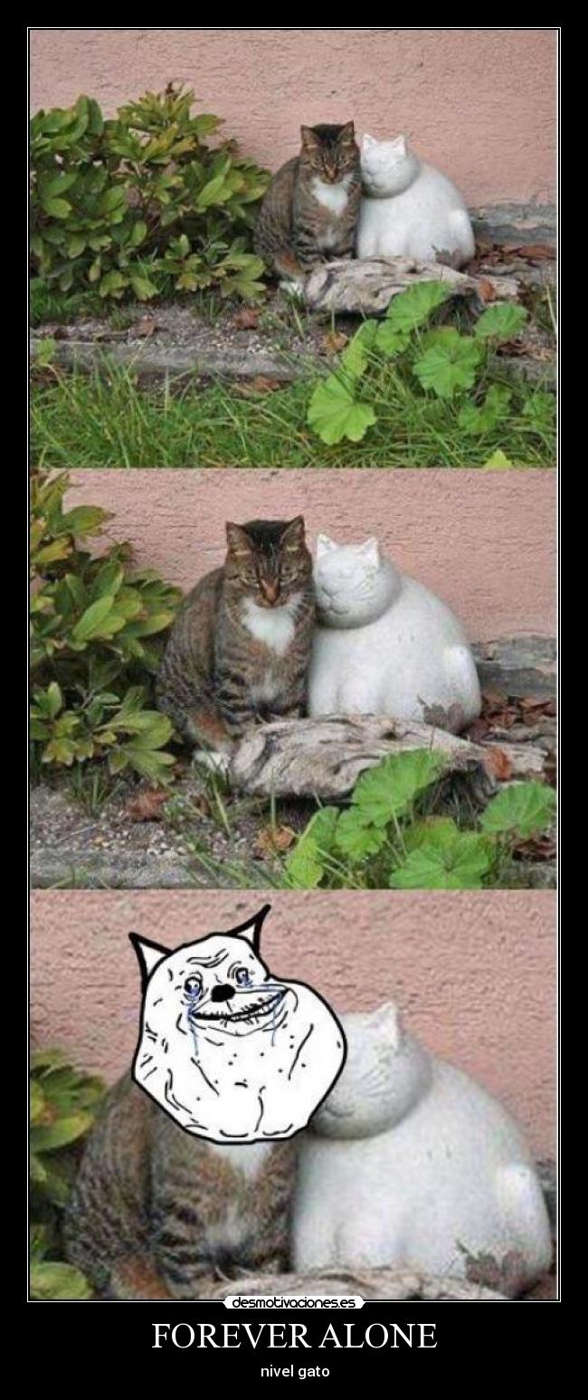 FOREVER ALONE - nivel gato