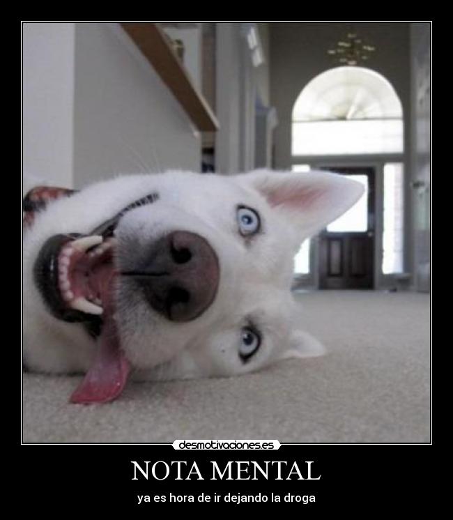 NOTA MENTAL - ya es hora de ir dejando la droga