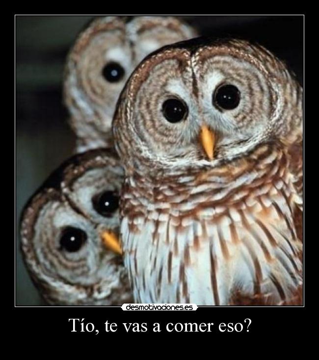 Tío, te vas a comer eso? - 