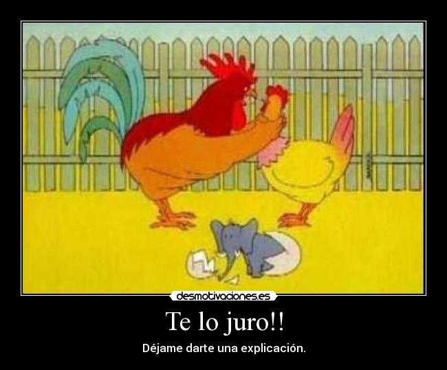 Te lo juro!! - Déjame darte una explicación.