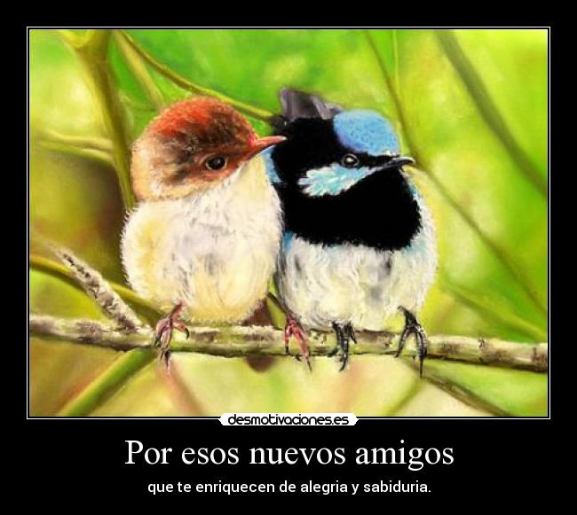 Por esos nuevos amigos - 