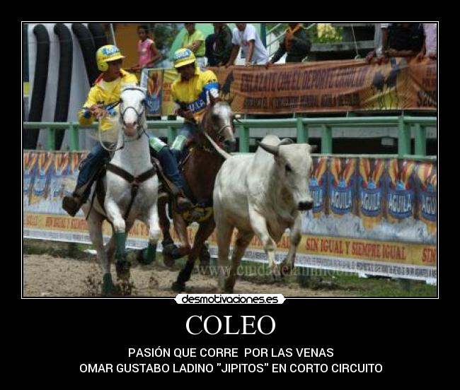 COLEO -