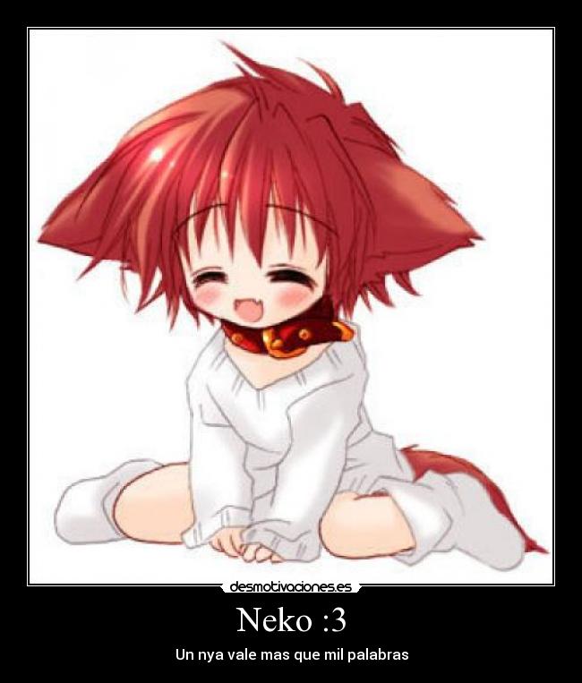 Neko :3 -