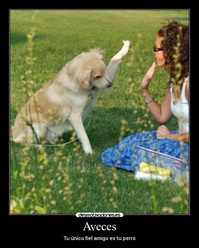 Aveces - Tu único fiel amigo es tu perro