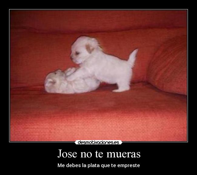 carteles reykoq desmotivaciones