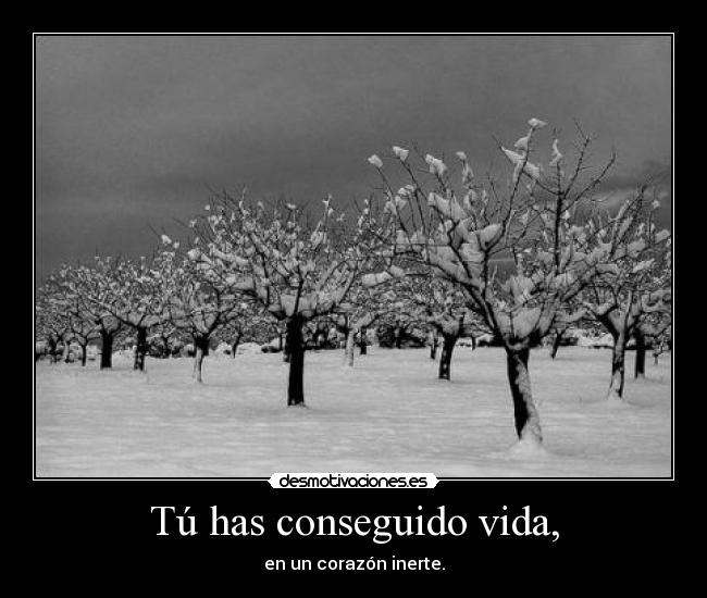 Tú has conseguido vida, - en un corazón inerte.