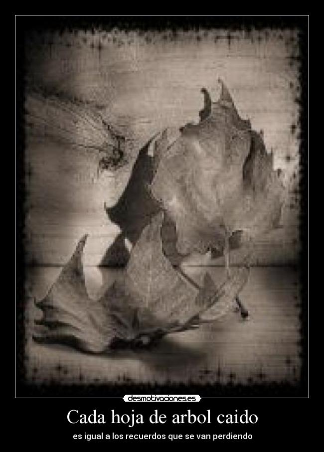 Cada hoja de arbol caido - es igual a los recuerdos que se van perdiendo