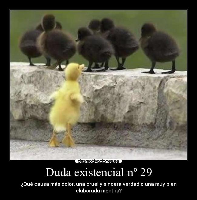 Duda existencial nº 29 -