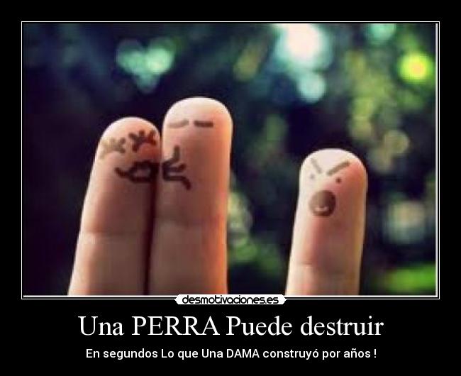 Una PERRA Puede destruir - 
