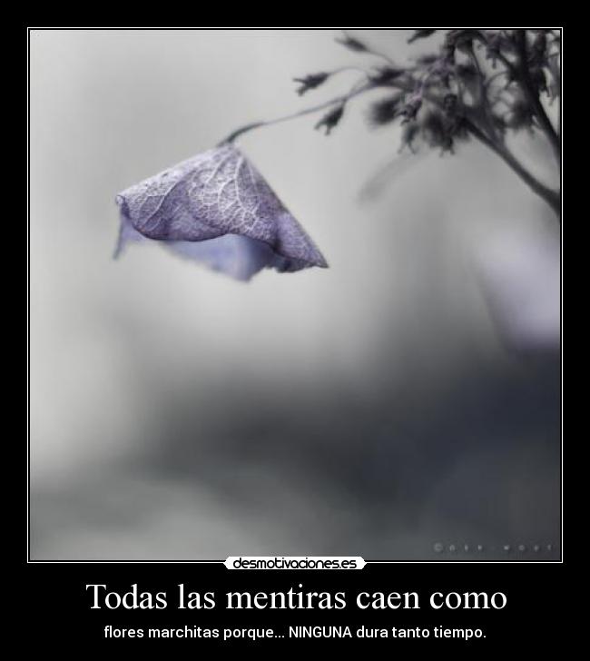 Todas las mentiras caen como - flores marchitas porque... NINGUNA dura tanto tiempo.