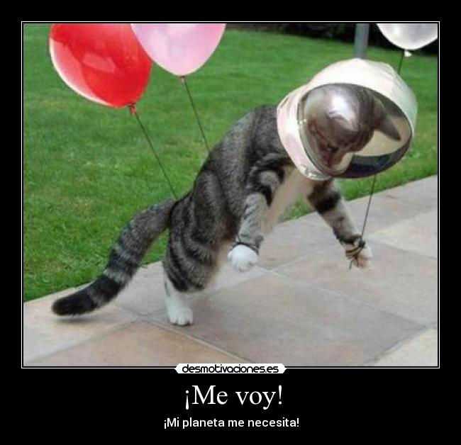 ¡Me voy! -