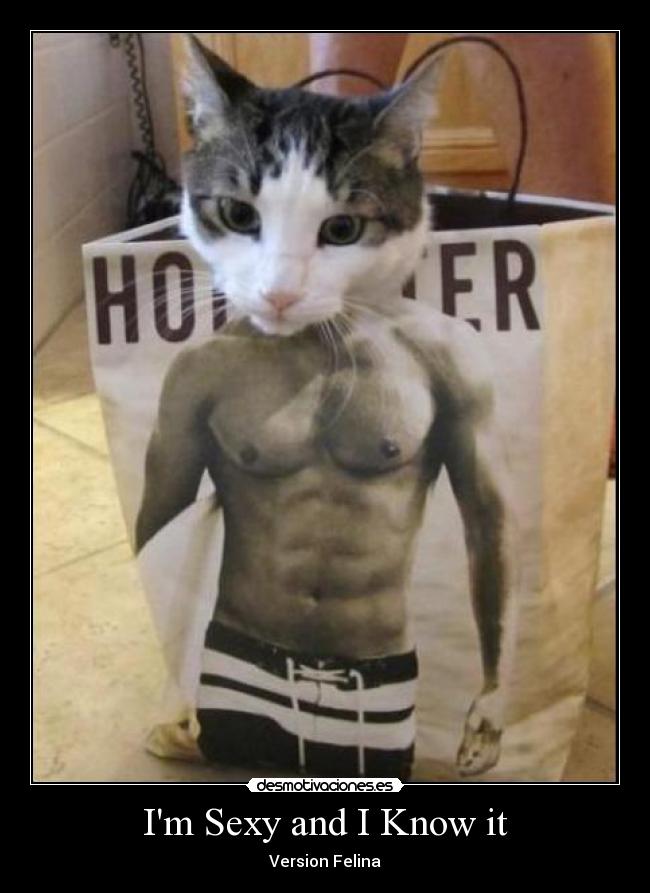 Im Sexy and I Know it - 