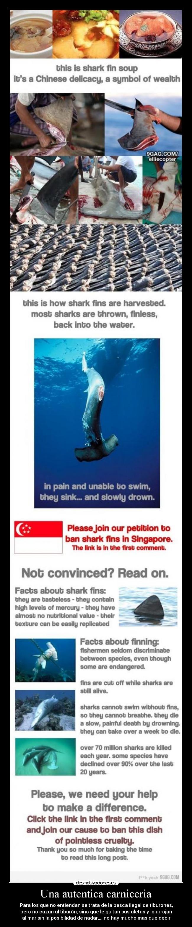 Una autentica carniceria -