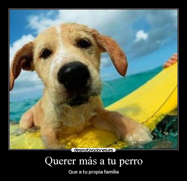 carteles lookthemyayes desmotivaciones