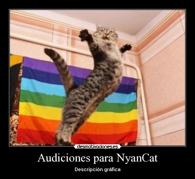 Audiciones para NyanCat - Descripción gráfica