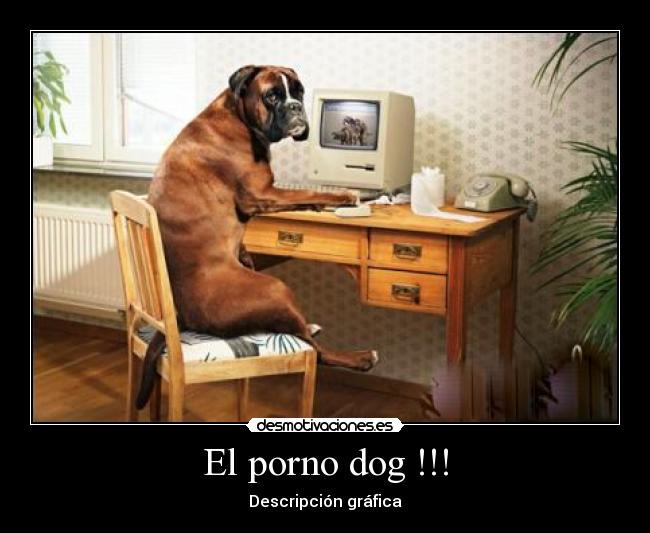 El porno dog !!! - Descripción gráfica