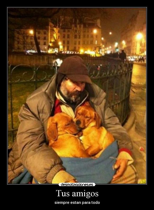 Tus amigos - 