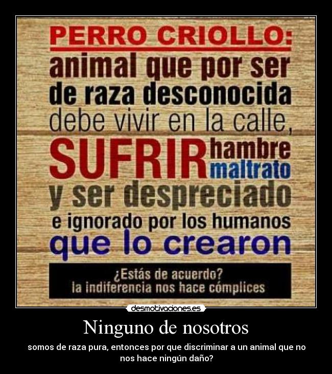 Ninguno de nosotros - somos de raza pura, entonces por que discriminar a un animal que no
nos hace ningún daño?