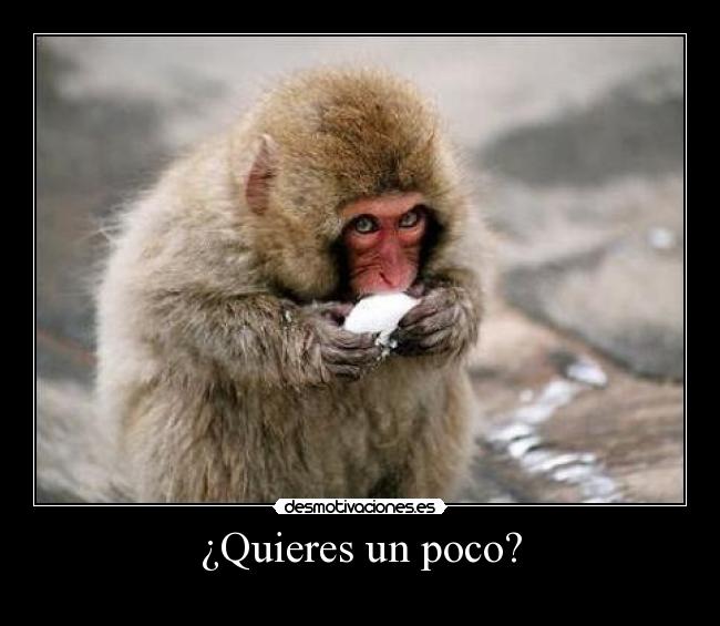 ¿Quieres un poco? -