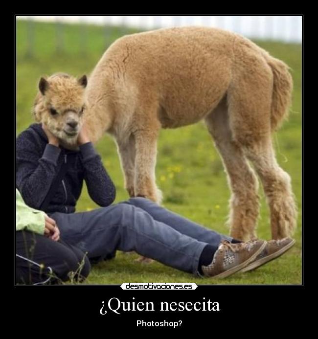 ¿Quien nesecita - Photoshop?
