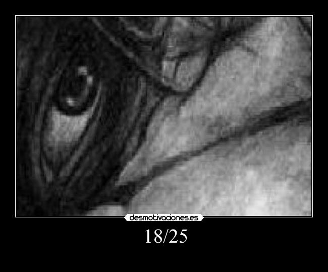 carteles mega cartel desmotivaciones