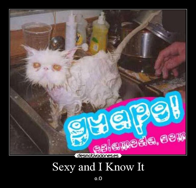 Sexy and I Know It - 