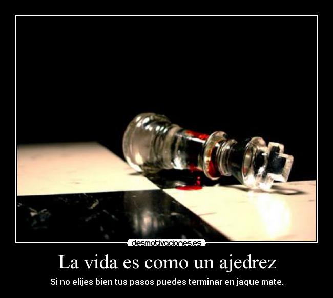 La vida es como un ajedrez - 