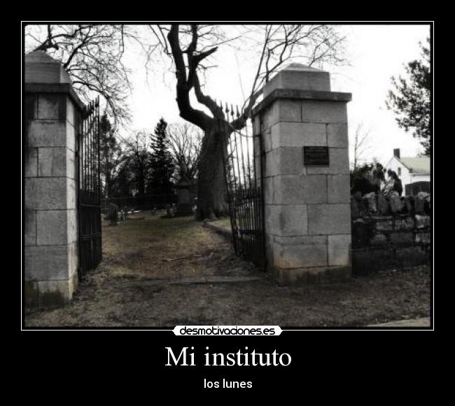 Mi instituto -