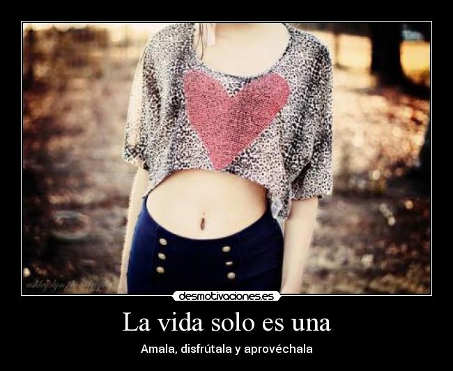 La vida solo es una - 