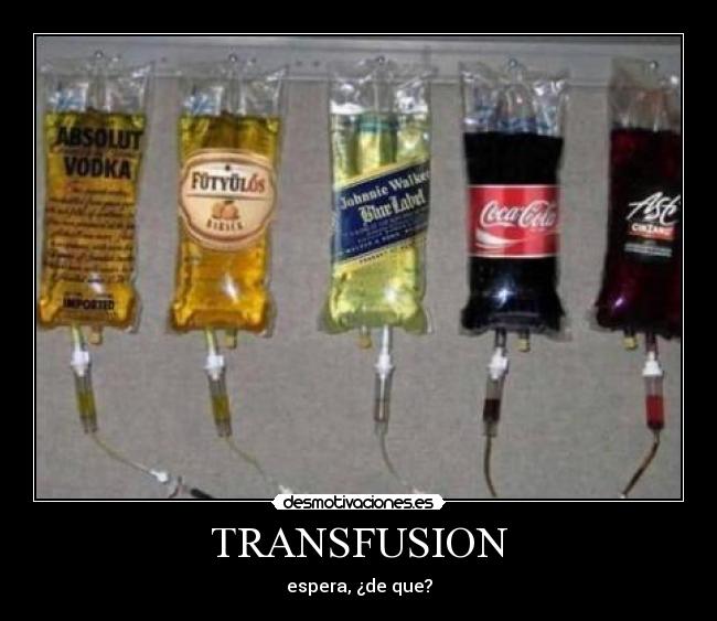 TRANSFUSION - espera, ¿de que?