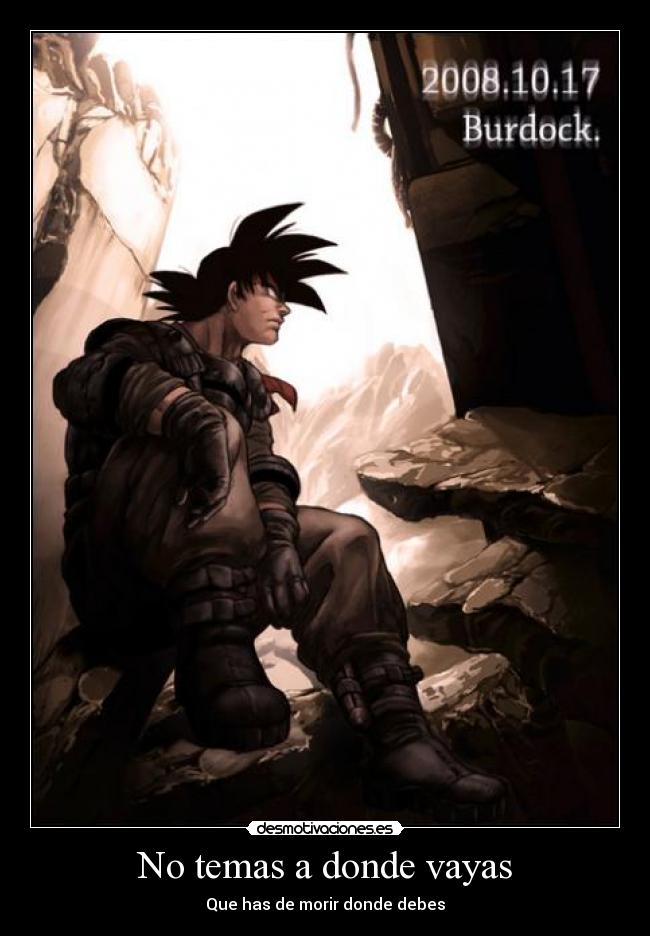 No temas a donde vayas - 