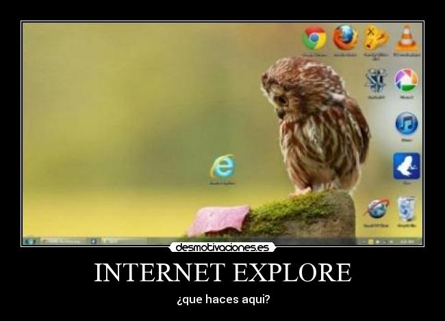 INTERNET EXPLORE - ¿que haces aqui?