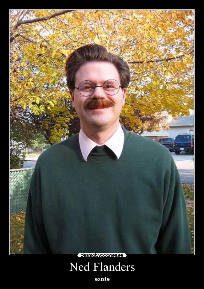 Ned Flanders - 