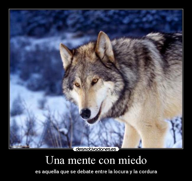 Una mente con miedo -
